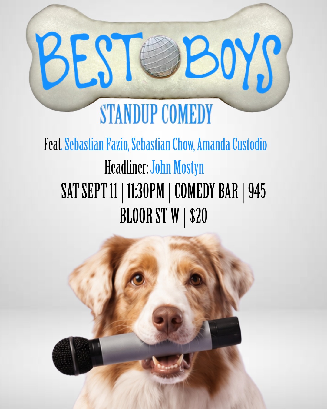 Best Boys: Standup Comedy